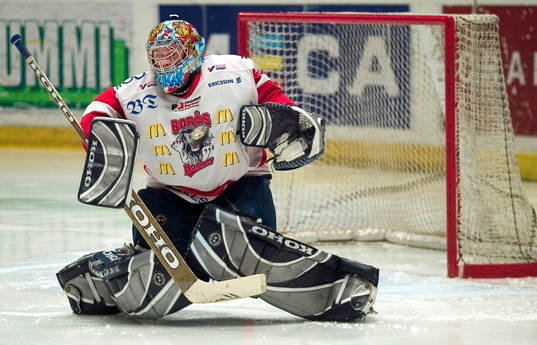 Henrik Tojkander, målvakt, Borås