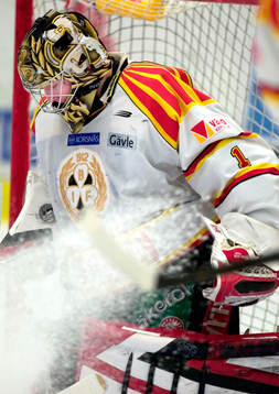 Johan Holmqvist, (målvakt) Brynäs