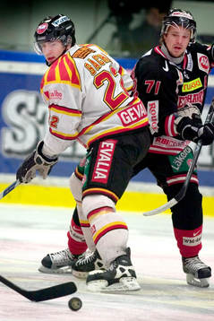 Petr Sachl, Brynäs och Peter hammarström, Malmö