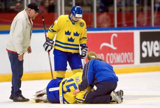 Katarina Timglas, skada