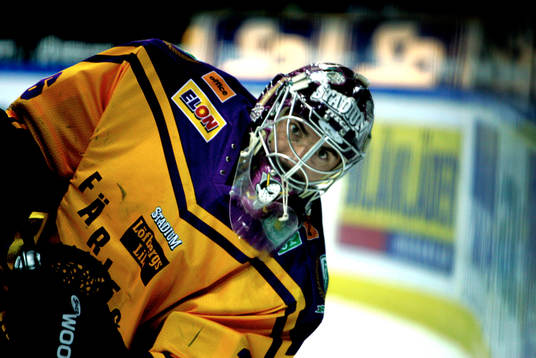 Martin Gerber, Färjestad