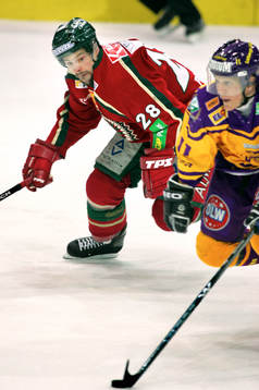 Martin Plüss, Frölunda och Jesper Mattsson, Färjestad