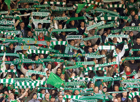 Supporter, Hammarby