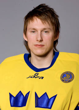 Johan Holmqvist (målvakt)
