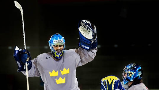 Stefan Liv, Henrik Lundqvist, målvakt