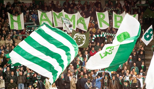 Supporter, Hammarby