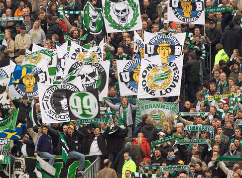 Supporter, Hammarby