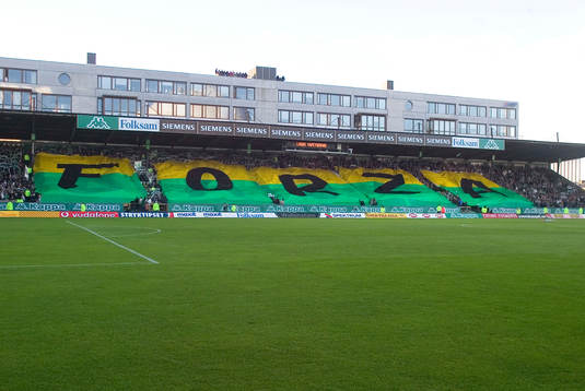 Supporter, Hammarby