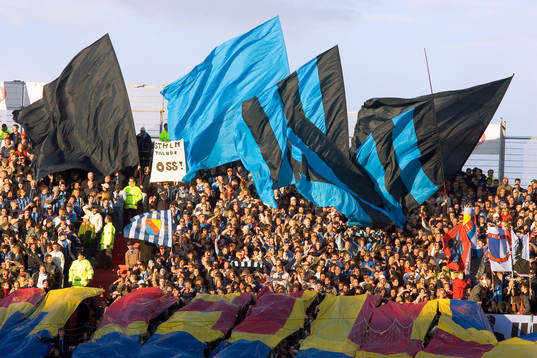 Supporter, Hammarby