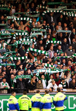 Supporter, Hammarby, publikvärd, ordningsvakt, vakt
