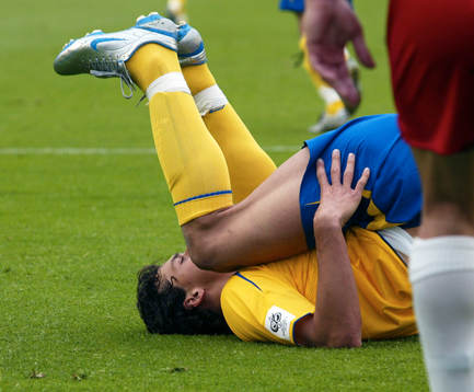 Zlatan Ibrahimovic, Sverige