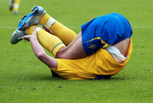 Zlatan Ibrahimovic, Sverige