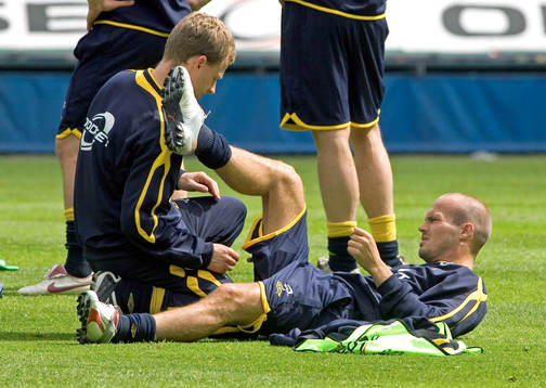 Fredrik Ljungberg, Sverige