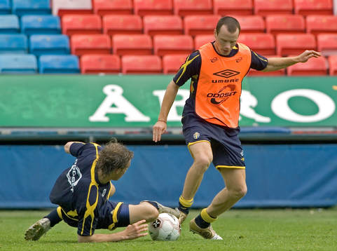 Alexander Farnerud, Sverige