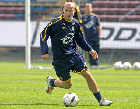 Fredrik Ljungberg, Sverige