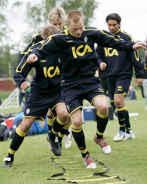 Sebastian Larsson