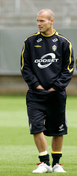 Fredrik Ljungberg, Sverige