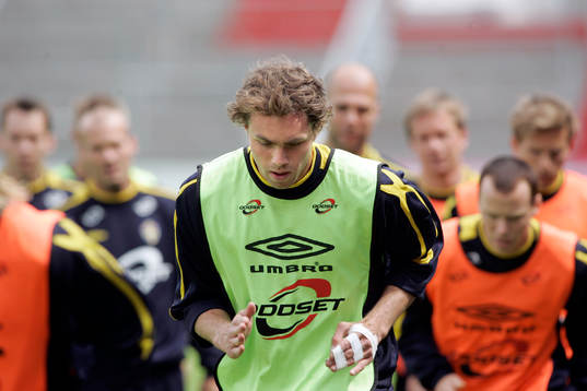 Johan Elmander, Sverige