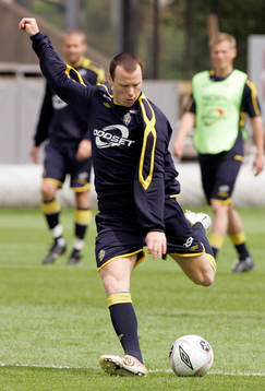 Alexander Farnerud, Sverige