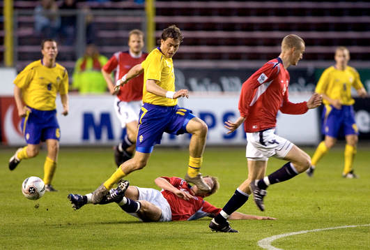 Johan Elmander, Sverige
