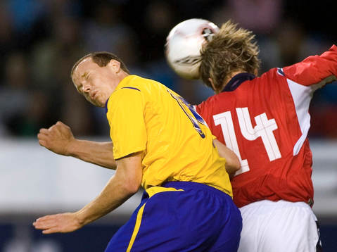 Alexander Farnerud, Sverige