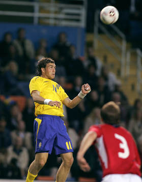 Johan Elmander, Sverige