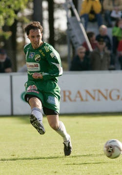 Cedomir Zarkovic, Ljungskile