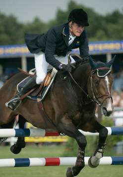 Svante Johansson, Sverige