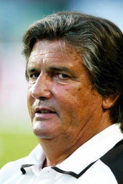Henri Michel, förbundskapten