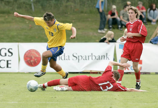Amir Suljic, Sverige