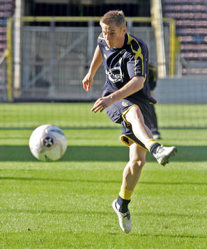 Markus Rosenberg, Sverige
