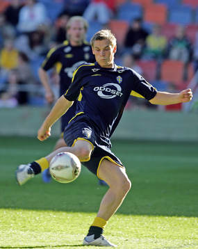 Markus Rosenberg, Sverige