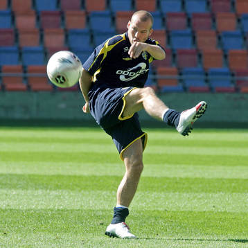 Fredrik Ljungberg, Sverige