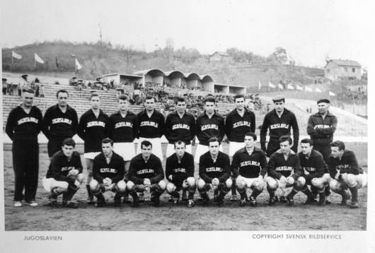 Fotboll, VM, 1958, Souvenir