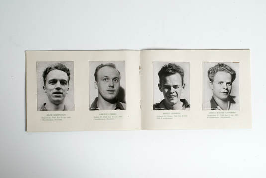 Fotboll, VM, 1958, Souvenir