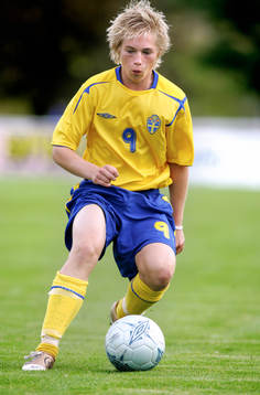 Johan Hultgren, Sverige