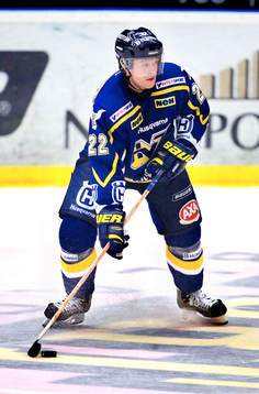 David Petrasek