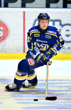David Petrasek