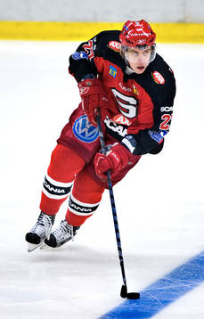 Anze Kopitar