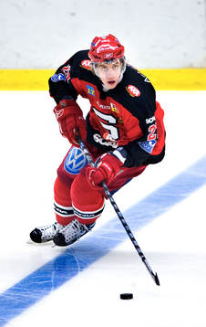Anze Kopitar