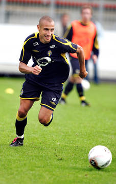 Henrik Larsson, Sverige