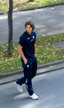 Zlatan Ibrahimovic, Sverige
