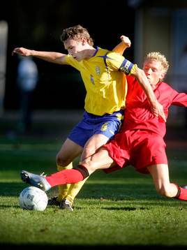 Erik Tengroth, Sverige