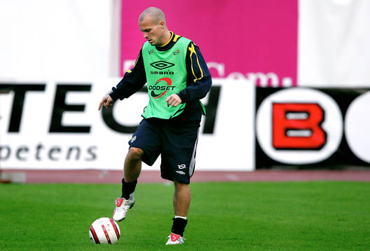 Fredrik Ljungberg, Sverige