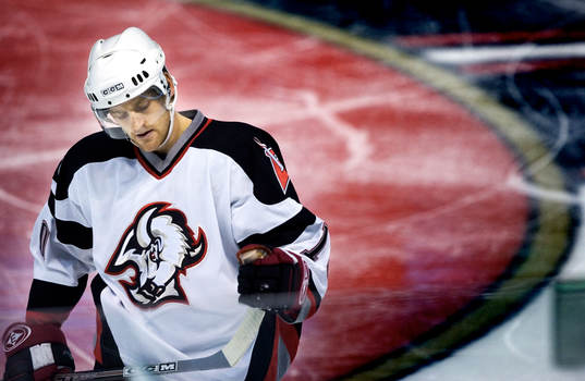 Henrik Tallinder, Buffalo