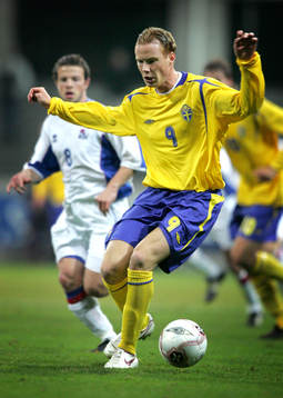 Alexander Farnerud, Sverige