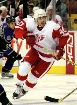 Henrik Zetterberg, Detroit