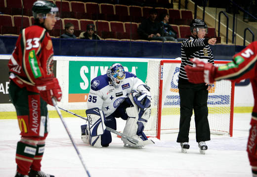 Tomas Duba, Leksand (Målvakt)
