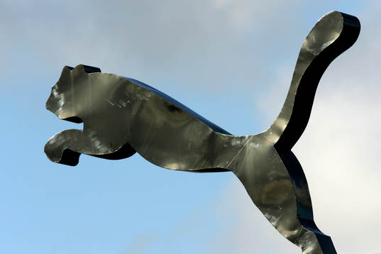Puma, reklam, staty, symbol