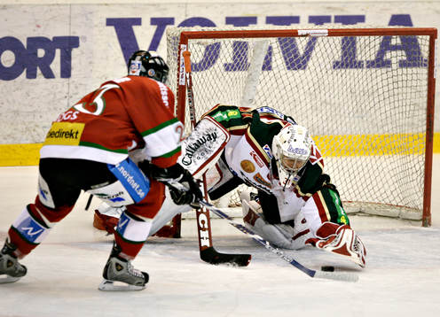 Tommy Salo, Frölunda (Målvakt)